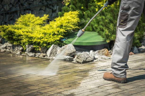 Best Soft Washing  in Marshall, MI
